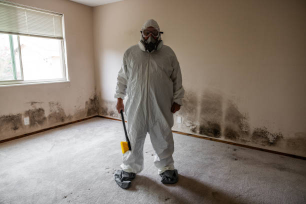 Mold Removal Process in Lakewood, SC